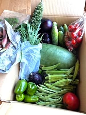 すごい野菜セットに出会えた！の画像 2
