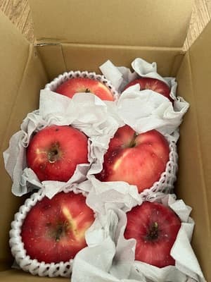 とっても美味しいりんごでした！の画像 1