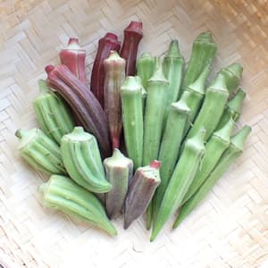 個性あふれるオクラたち！！の画像 3