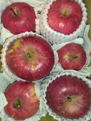安心安全な美味しい🍎に巡り逢えました！の画像 1
