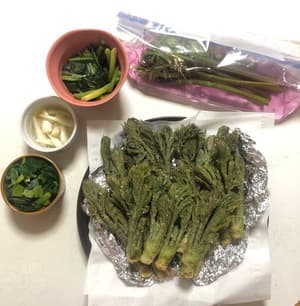 新鮮な春の恵みを存分に味わえました！の画像 1