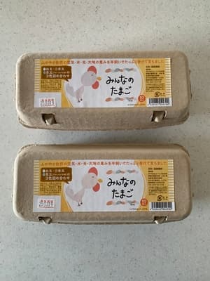 美しく美味しい卵の画像 1