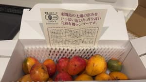 美味しい！の画像 1