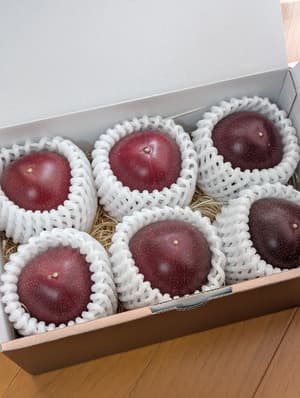はじめてのパッションフルーツの画像 1