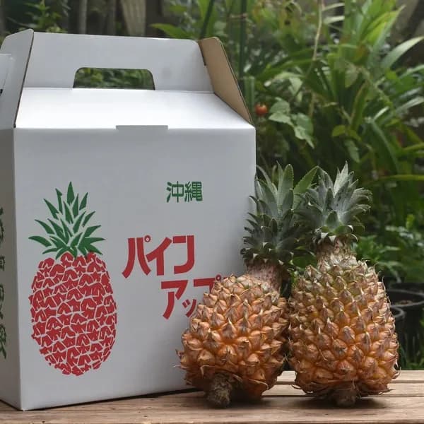 中サイズ2~3玉