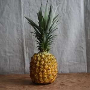 手でちぎれて芯まで甘い＜ボゴールパイン（スナックパイン）＞沖縄で有機JAS認証の完熟果実