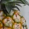 サムネイル 2