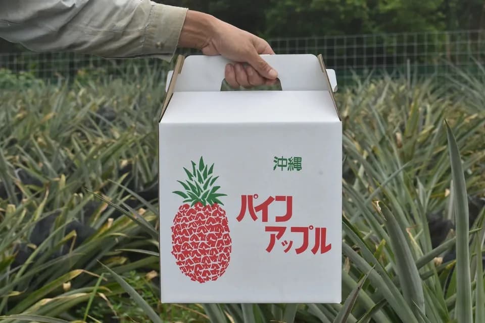 ホワイトココとサンドルチェ 数量限定＜食べ比べセット＞沖縄で有機JAS認証の完熟果実