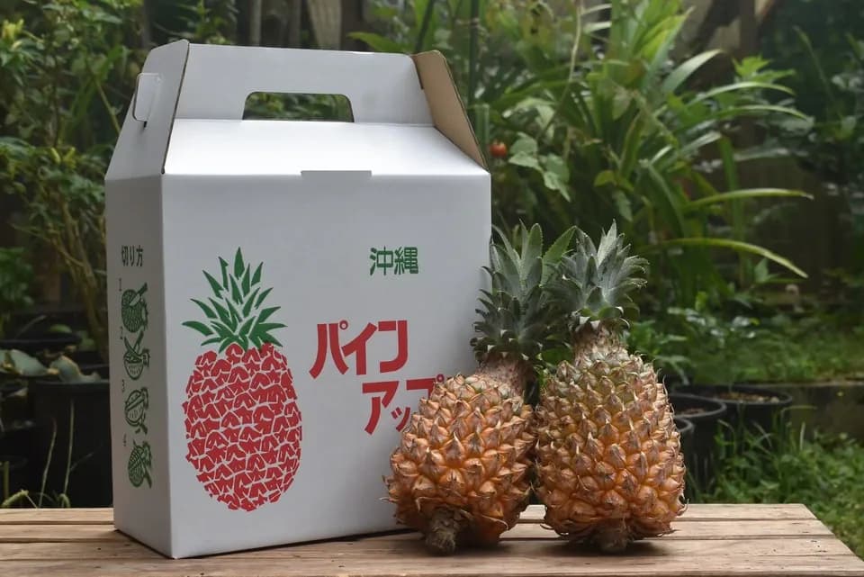 ホワイトココとサンドルチェ 数量限定＜食べ比べセット＞沖縄で有機JAS認証の完熟果実