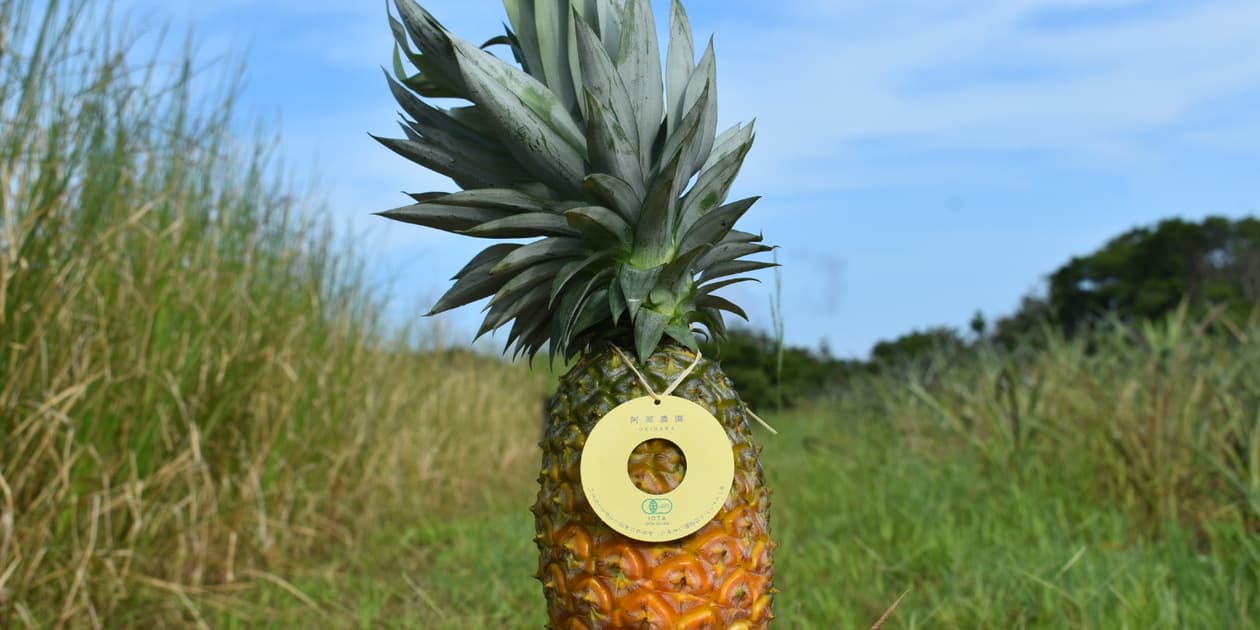 阿部農園ロゴ