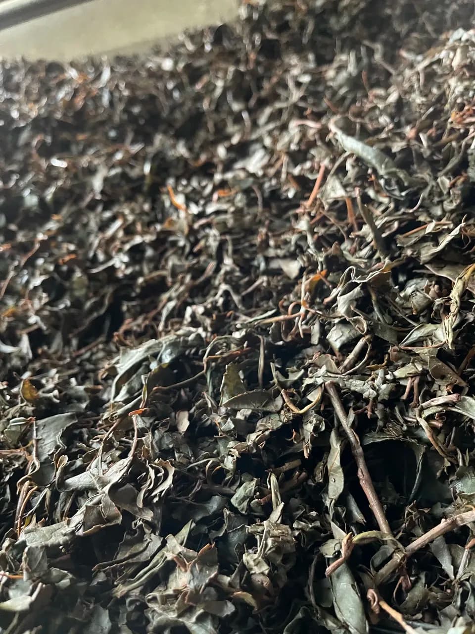 農薬・無肥料栽培＜焙煎和紅茶〜Ten〜天＞ノンカフェイン