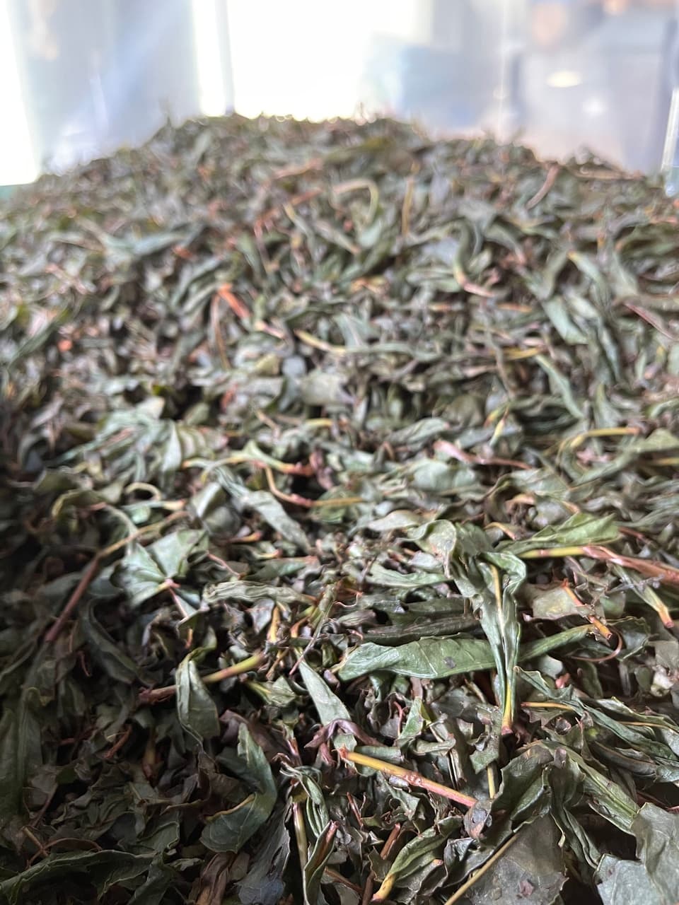 農薬・化学肥料不使用＜芳醇和紅茶〜Kuu〜空＞ ノンカフェイン