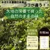 サムネイル 3