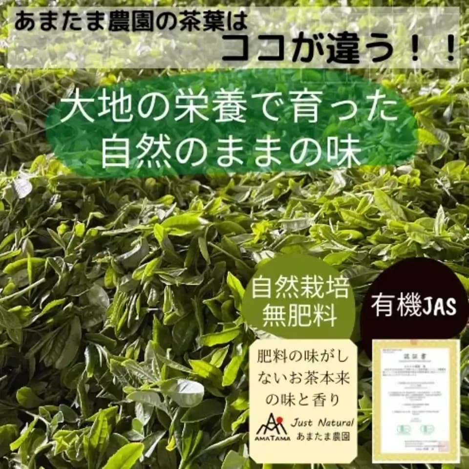 【2026年新茶】和紅茶　アマタマ・ヌーボー~Haru no Kuu~空｜無農薬・無肥料栽培＋有機JAS認定