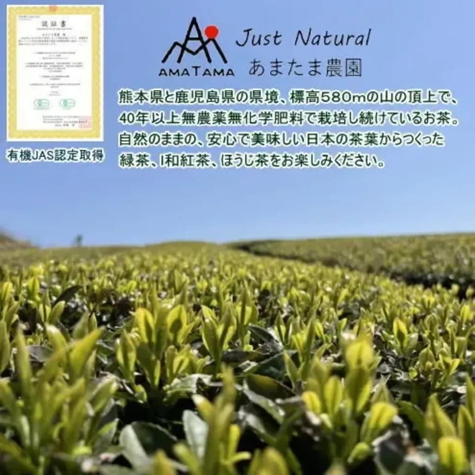 【2026年新茶】和紅茶　アマタマ・ヌーボー~Haru no Kuu~空｜無農薬・無肥料栽培＋有機JAS認定