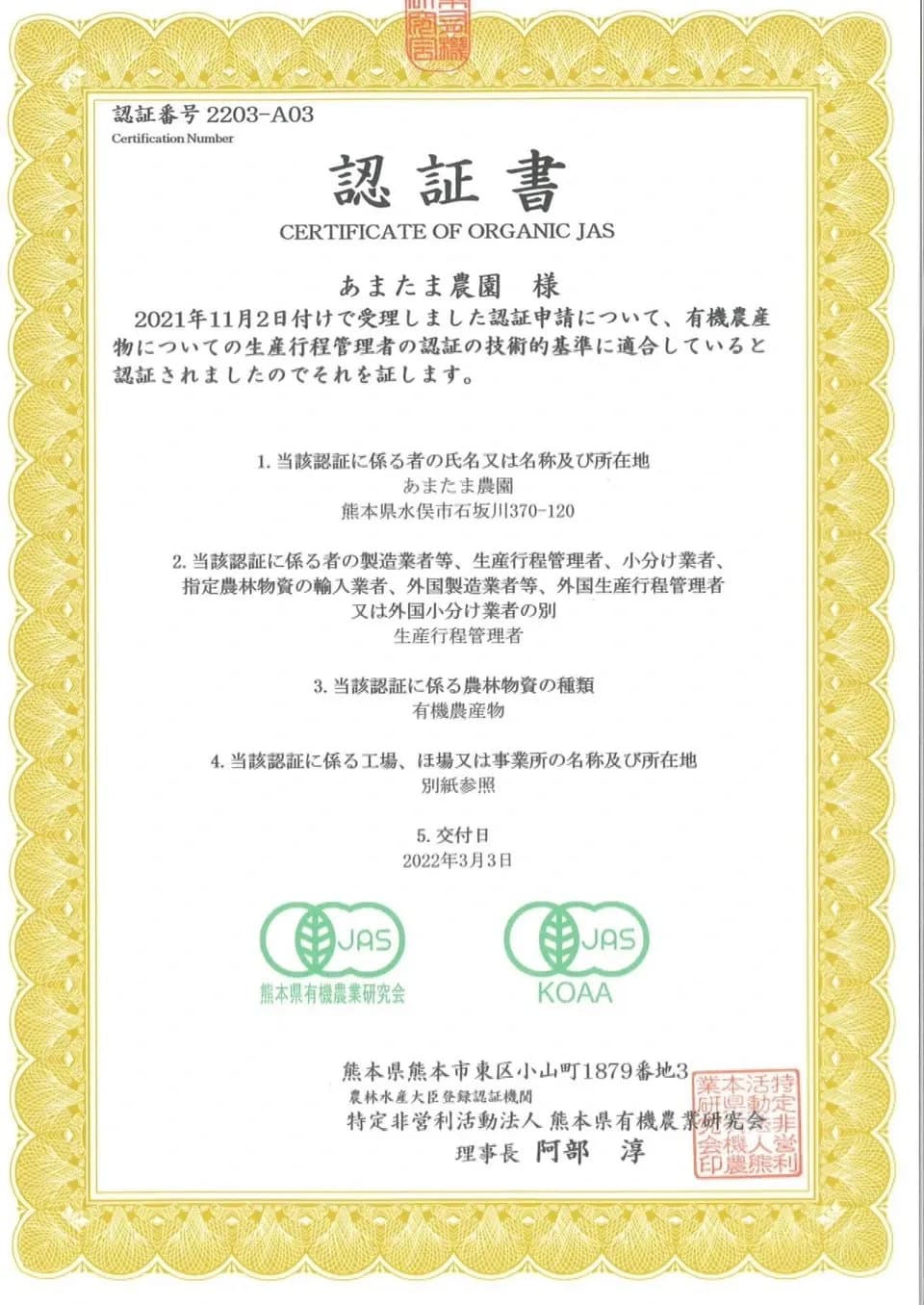 【2026年新茶】あまたま緑茶(ヤブキタ) ｜無農薬・無肥料栽培