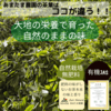 サムネイル 2