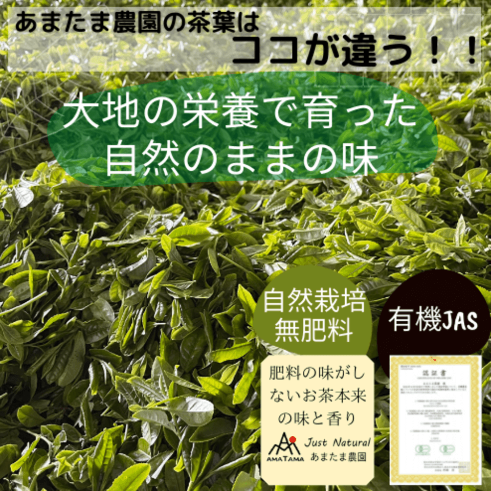 無農薬・無肥料栽培＜お茶屋の粉茶＞有機JAS認定