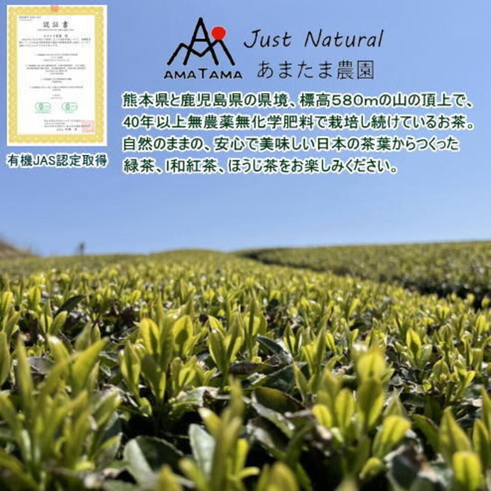 無農薬・無肥料栽培＜お茶屋の粉茶＞有機JAS認定