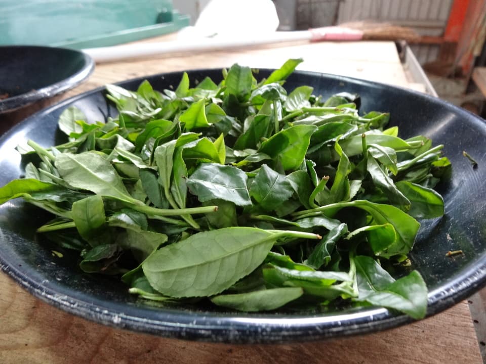 【無農薬・無化学肥料栽培】贅沢な檸檬ほうじ茶 