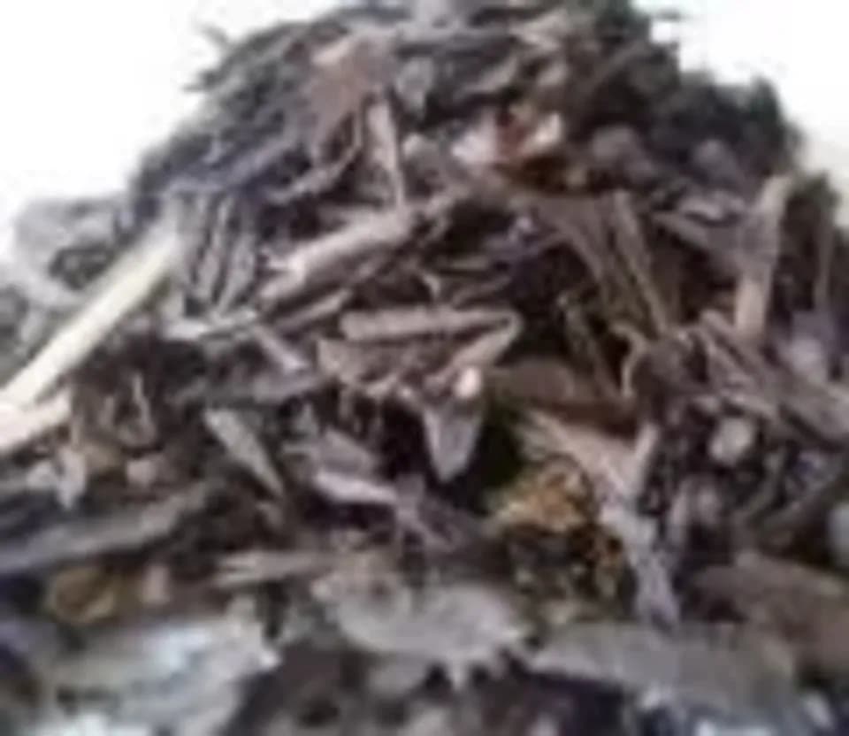 無農薬・無肥料栽培＜あまたまほうじ茶＞ノンカフェイン