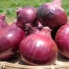サムネイル 1