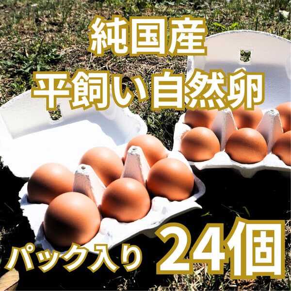 パック入りS〜Mサイズ24個