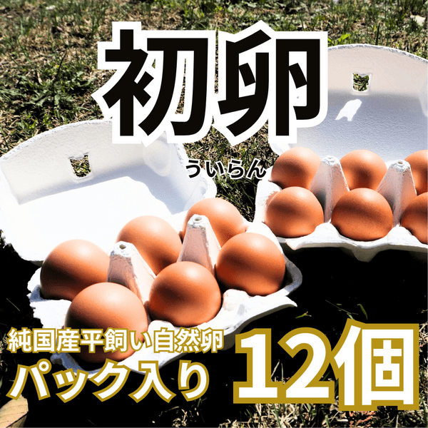 初卵（若鶏が初めて産んだ、一生に一度の贈り物）　Sサイズ12個