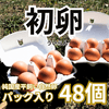 初卵（若鶏が初めて産んだ、一生に一度の贈り物）　Sサイズ48個