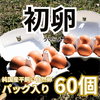 初卵（若鶏が初めて産んだ、一生に一度の贈り物）　Sサイズ60個