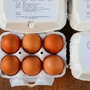 【とれたて純国産平飼い自然卵（有精卵） ｜7日以内に発送可】完全自家配合！全て国産・添加物／保存料不使用｜大自然の恵みをそのまま提供のレビュー