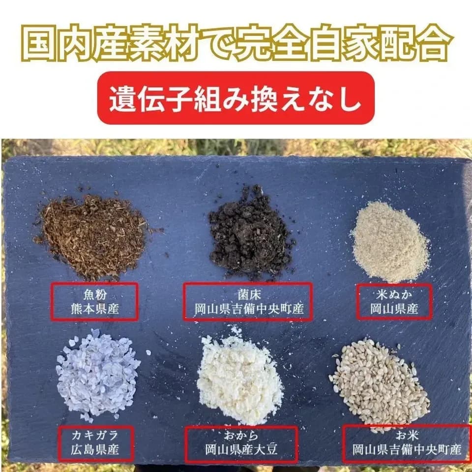 【とれたて純国産平飼い自然卵（有精卵） ｜3日以内に発送可】完全自家配合！全て国産・添加物／保存料不使用｜大自然の恵みをそのまま提供
