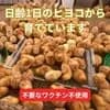 サムネイル 4