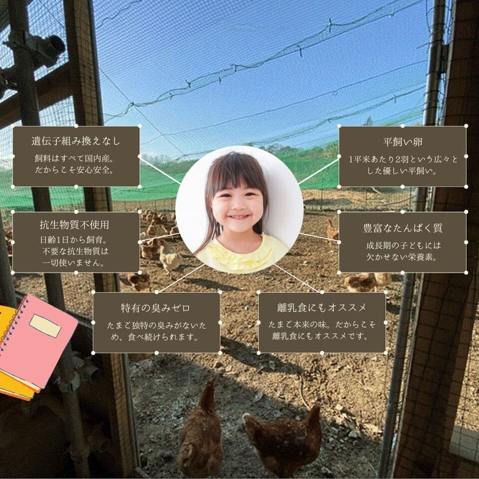 【2026年大寒卵】平飼い自然卵（有精卵）｜完全自家配合！ 全て国産・抗生物質・添加物不使用
