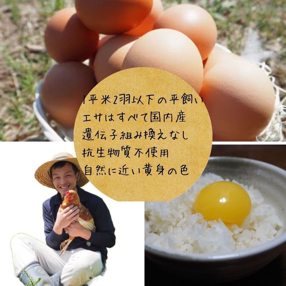 【2026年大寒卵】平飼い自然卵（有精卵）｜完全自家配合！ 全て国産・抗生物質・添加物不使用
