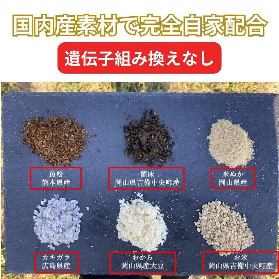【2026年大寒卵】平飼い自然卵（有精卵）｜完全自家配合！ 全て国産・抗生物質・添加物不使用