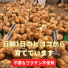 サムネイル 4