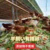 サムネイル 3