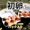 サムネイル 1