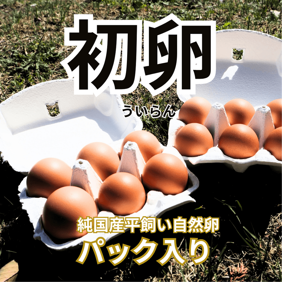 【初卵予約販売！】平飼い自然卵（有精卵）｜完全自家配合！ 全て国産・抗生物質・添加物不使用