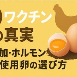 卵 ワクチンの真実｜無添加・ホルモン剤不使用卵の選び方
