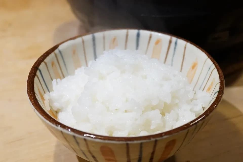 ◆稲架掛け天日干し【令和7年度産】さとじまん【玄米/白米】農薬・化学肥料不使用