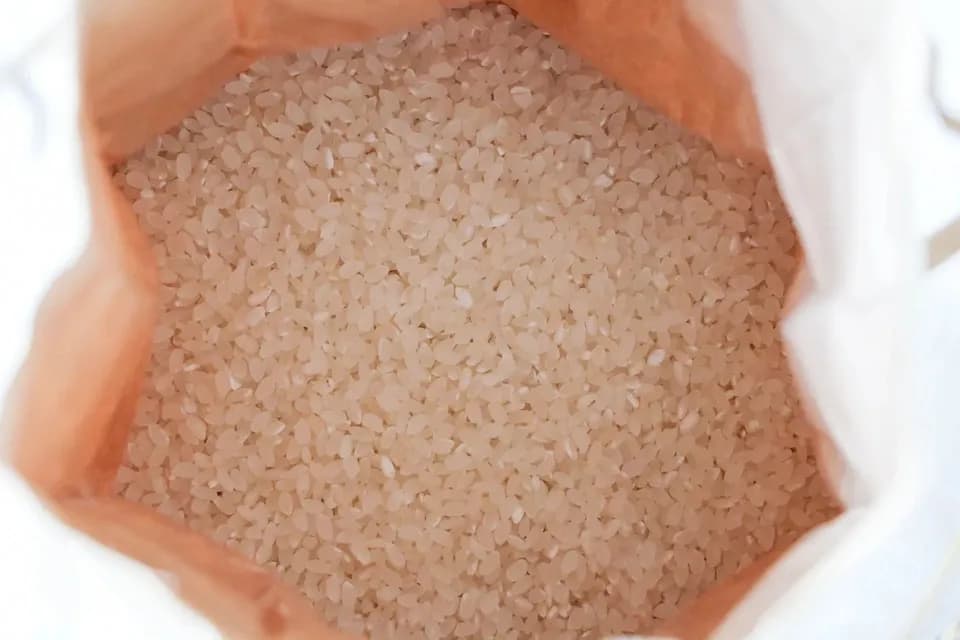 ◆稲架掛け天日干し【令和7年度産】さとじまん【玄米/白米】農薬・化学肥料不使用