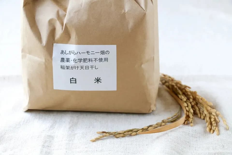 ◆稲架掛け天日干し【令和7年度産】さとじまん【玄米/白米】農薬・化学肥料不使用
