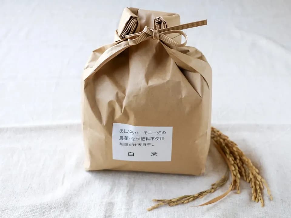 ◆稲架掛け天日干し【令和7年度産】さとじまん【玄米/白米】農薬・化学肥料不使用