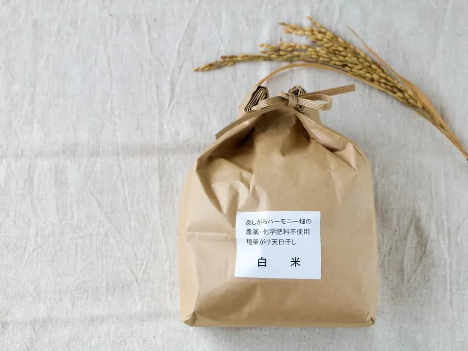 ◆稲架掛け天日干し【令和7年度産】さとじまん【玄米/白米】農薬・化学肥料不使用