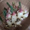 サムネイル 1