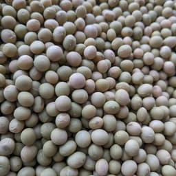 500g