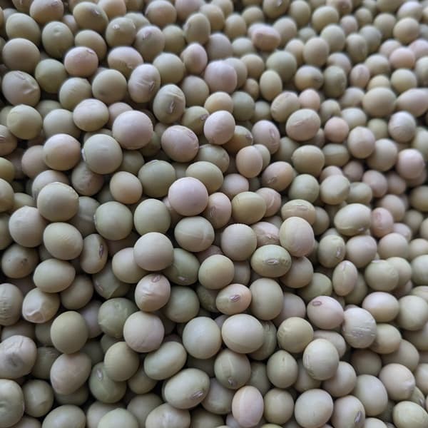 500g
