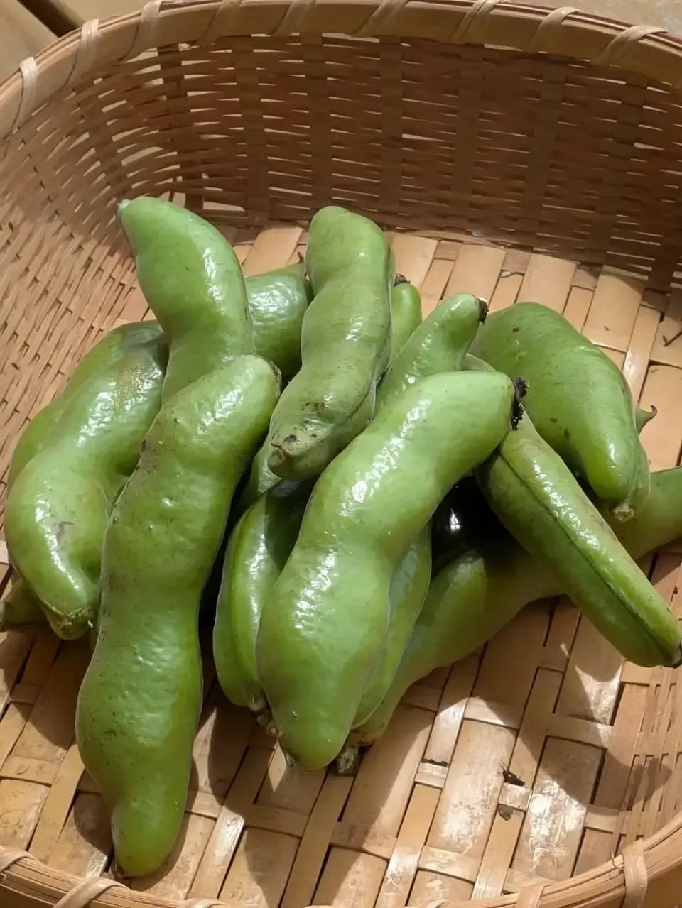 季節限定】そらまめ（農薬・化学肥料不使用） あしがらハーモニー畑